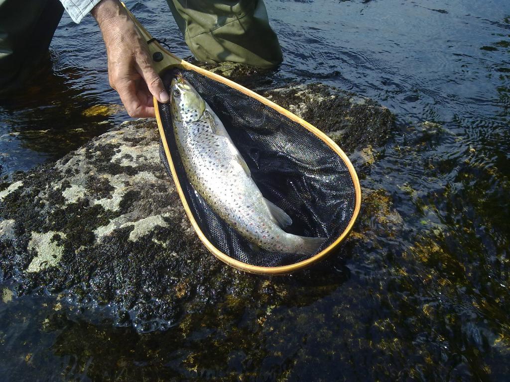 Hotelli Kainuu Kuhmo Esterno foto